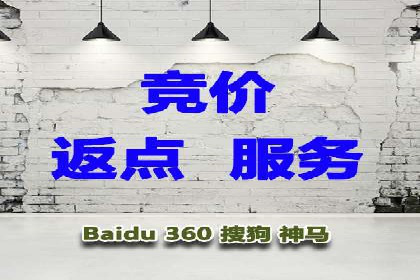SEM运营推广策略：成功案例解析